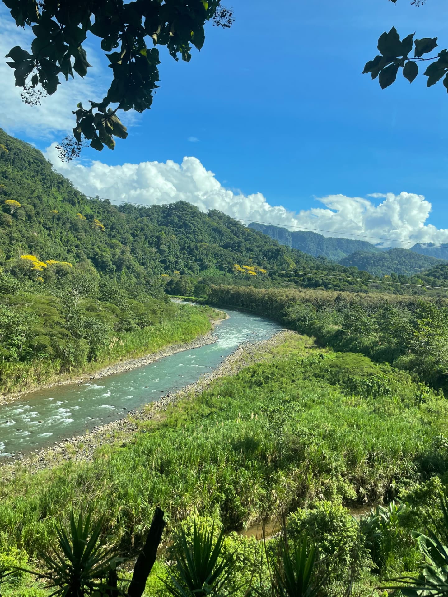Savegre River White Water Rafting — 5